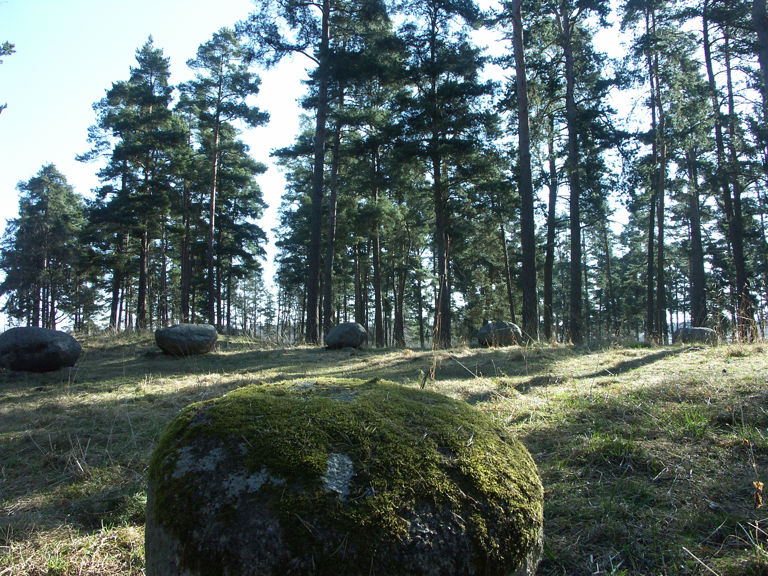 Foto från Kungshögarna i Mjölby. Flera stora stenar ligger i en ring, en dommarring.