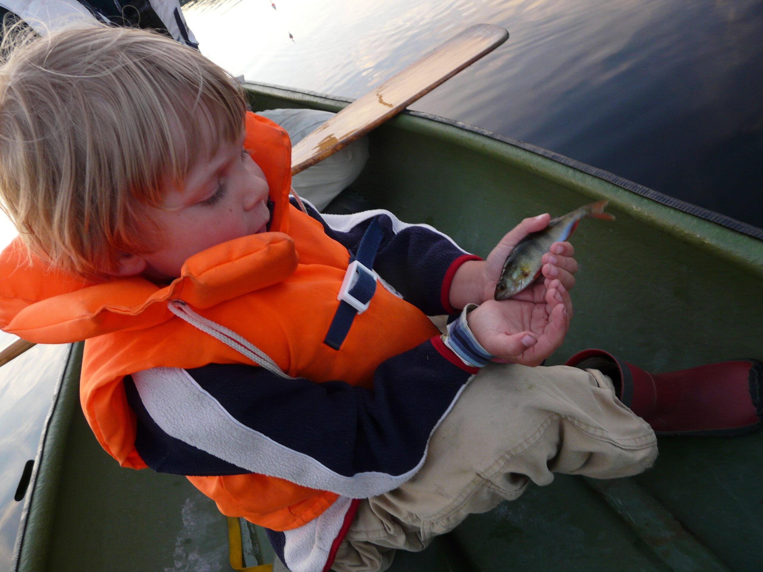 Prova på fiske