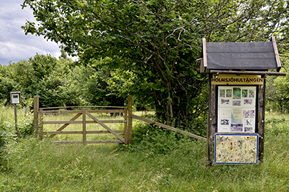 Holmsjöhultängen Naturreservat, Finspång