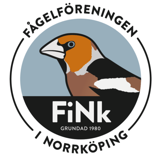 FiNK Fågelföreningen i Norrköping